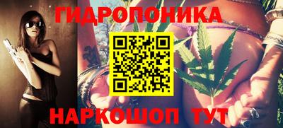 хмурый Малоярославец