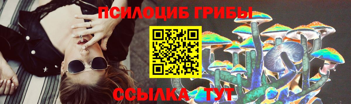 Псилоцибиновые грибы Psilocybe  Вход с VPN  Видное 